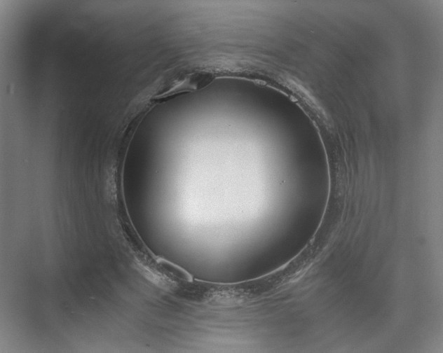 X0000073410489200608041002