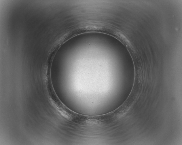 X0000073410490200608041002