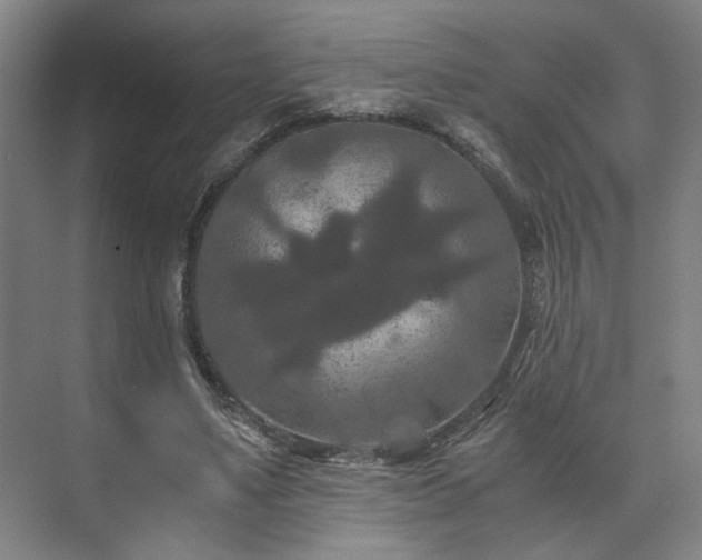 X0000073410491200608041002