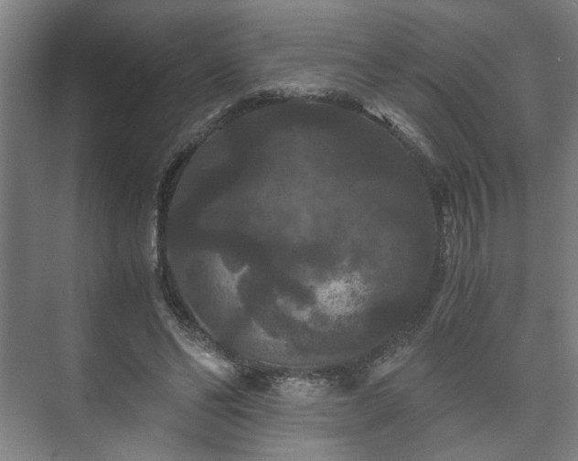 X0000073410494200608041002