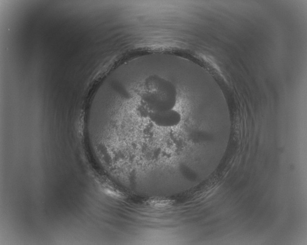 X0000073410495200608041002