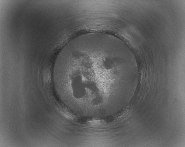 X0000073410499200608041002