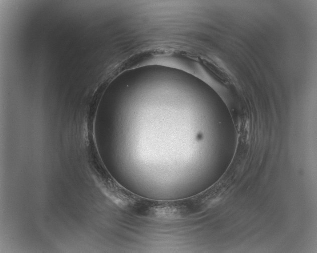 X0000073410500200608041002