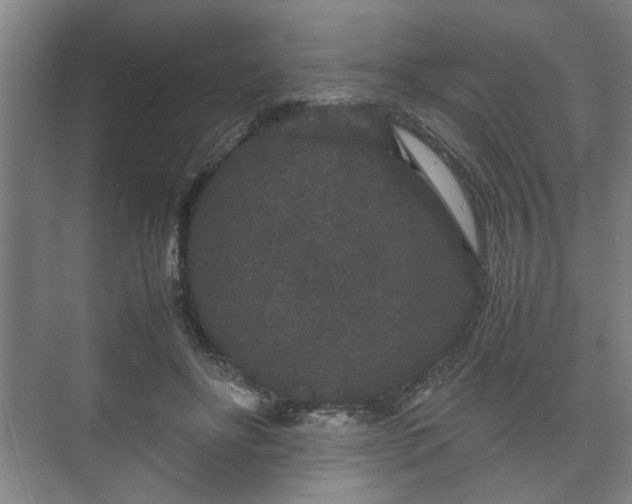 X0000073410502200608041002