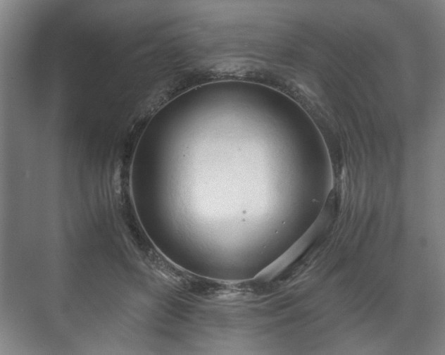 X0000073410504200608041002