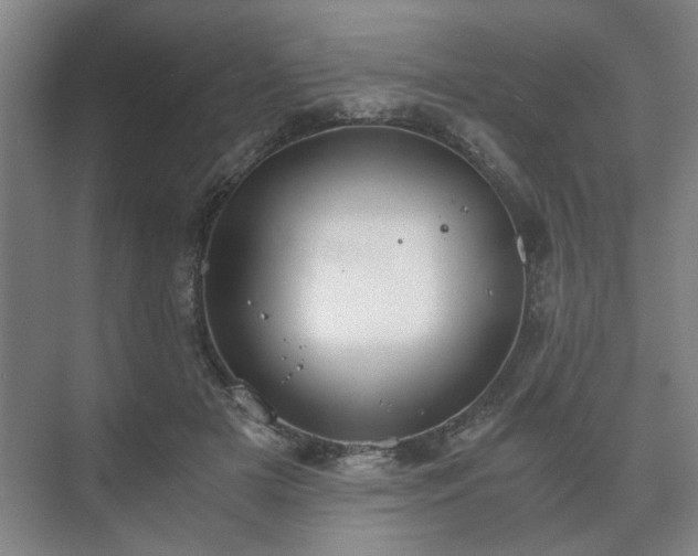 X0000073410505200608041002