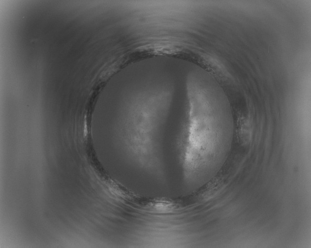 X0000073410506200608041002