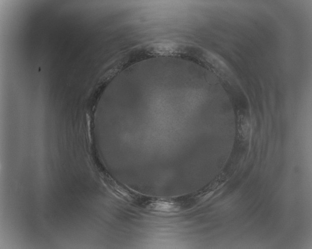 X0000073410507200608041002