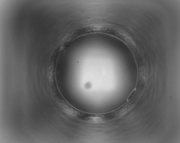 X0000073410509200608041002