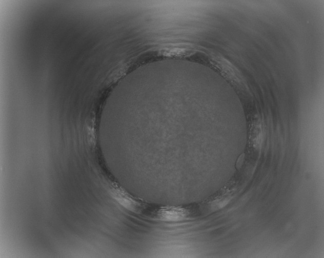 X0000073410510200608041002