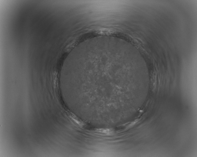 X0000073410511200608041002