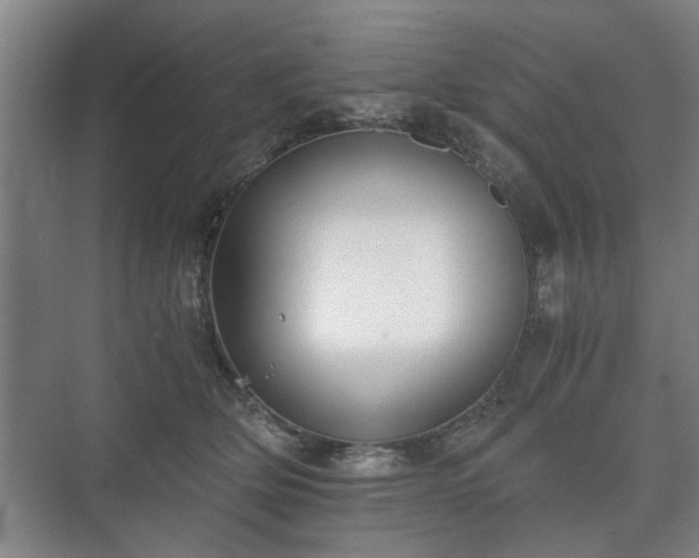 X0000073410514200608041002