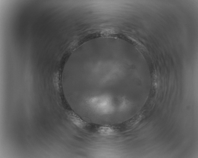 X0000073410519200608041002