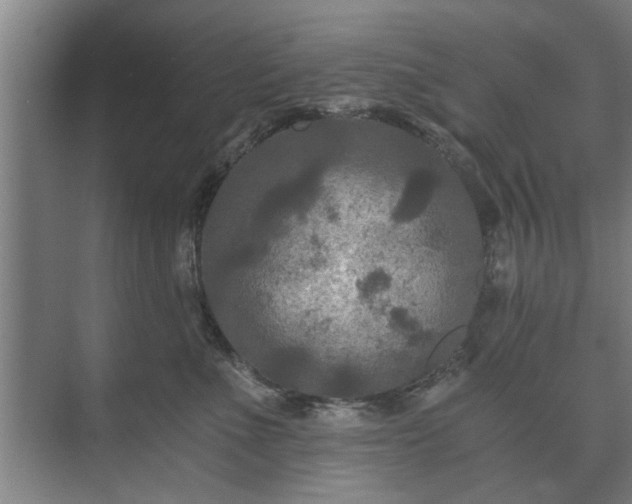 X0000073410523200608041001