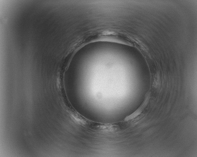 X0000073410524200608041001