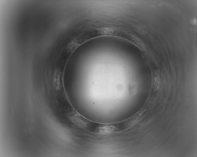 X0000073410525200608041001