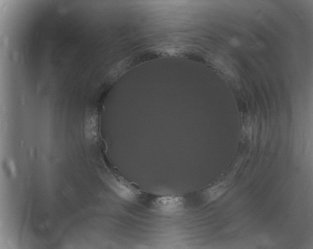 X0000073410526200608041001