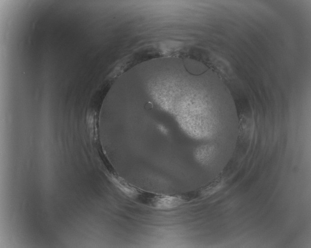 X0000073410527200608041001