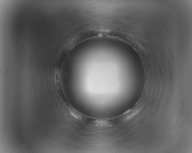 X0000073410528200608041001