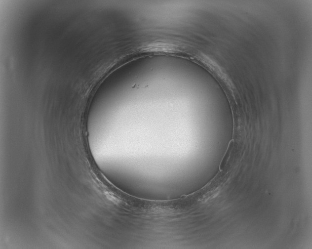 X0000073410529200608041001