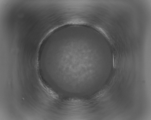 X0000073410531200608041001