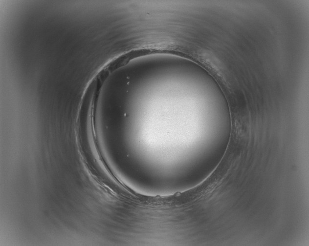 X0000073410532200608041001