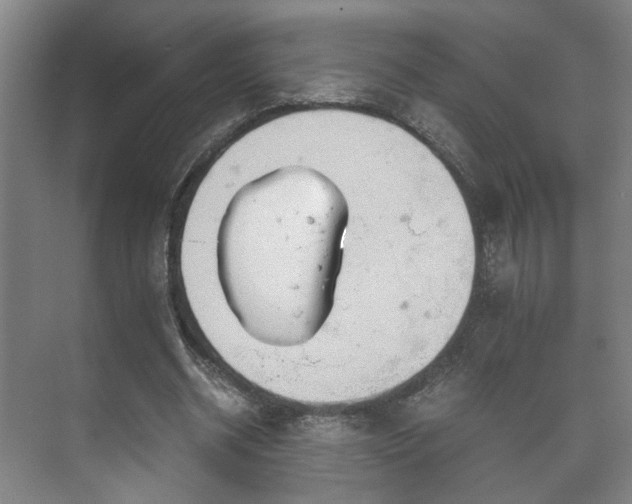 X0000073410534200608041001