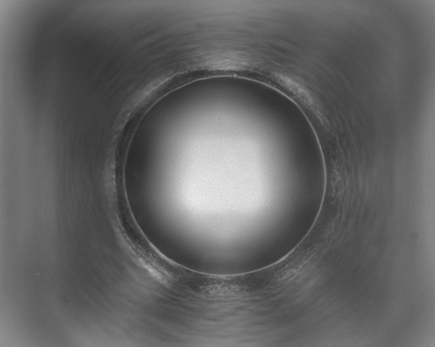 X0000073410535200608041001