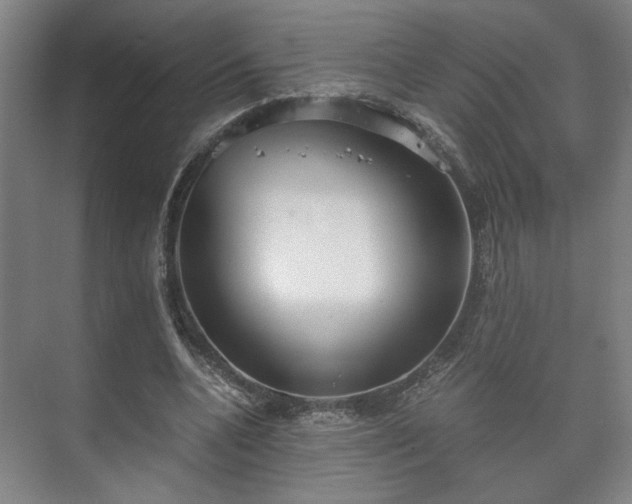 X0000073410536200608041001