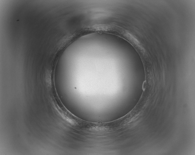 X0000073410537200608041001