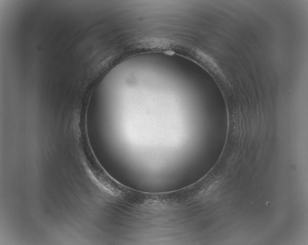 X0000073410538200608041001