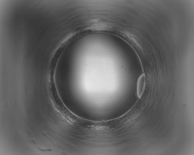 X0000073410539200608041001