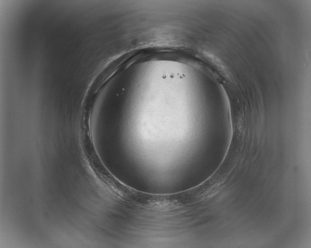 X0000073410540200608041001