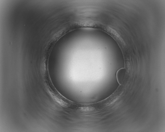 X0000073410541200608041001