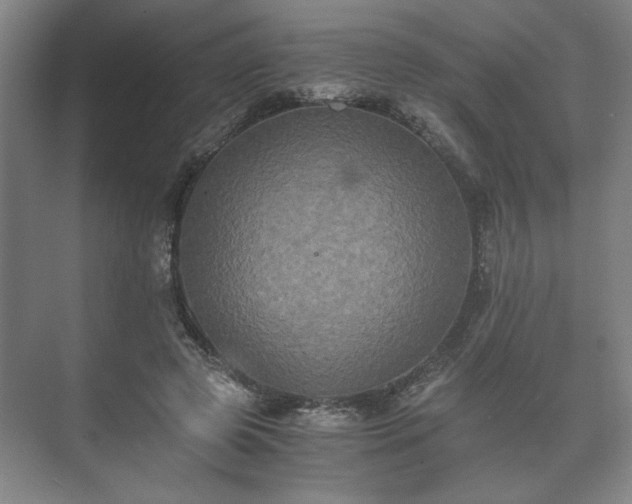 X0000073410545200608041001