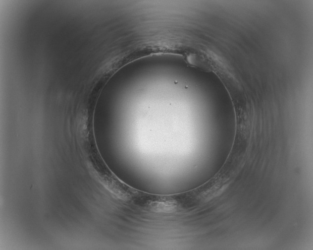 X0000073410548200608041001