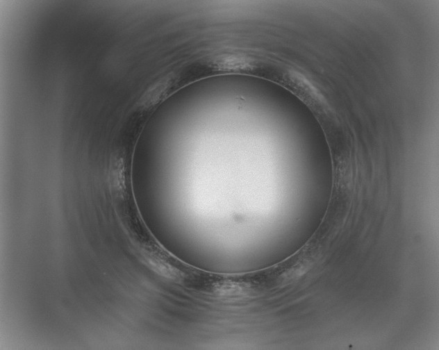 X0000073410549200608041001