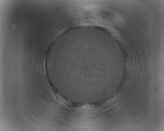 X0000073410550200608041001