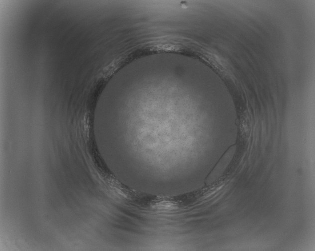 X0000073410551200608041001