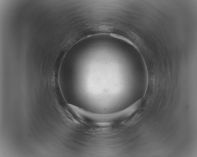 X0000073410552200608041001