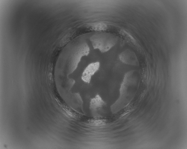 X0000073410553200608041001