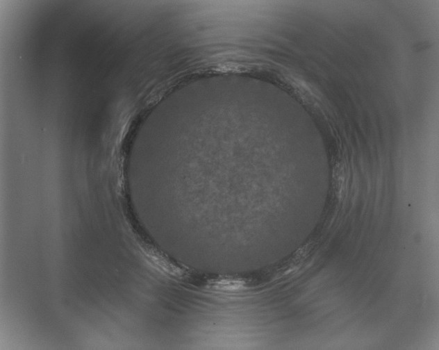 X0000073410554200608041001