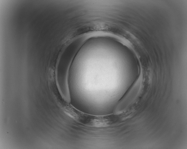 X0000073410556200608041001