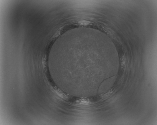 X0000073410559200608041001