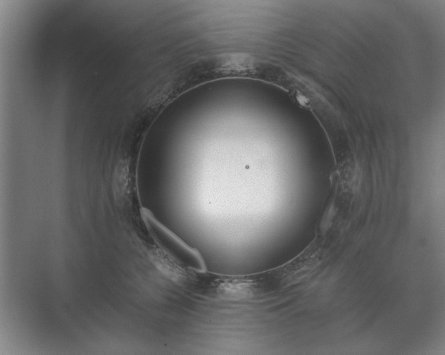 X0000073410560200608041001