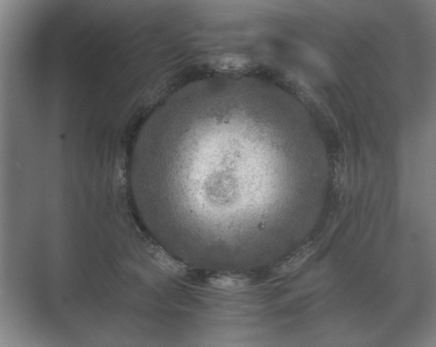 X0000073410561200608041001