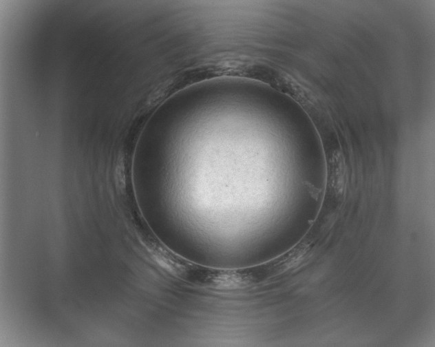 X0000073410562200608041001