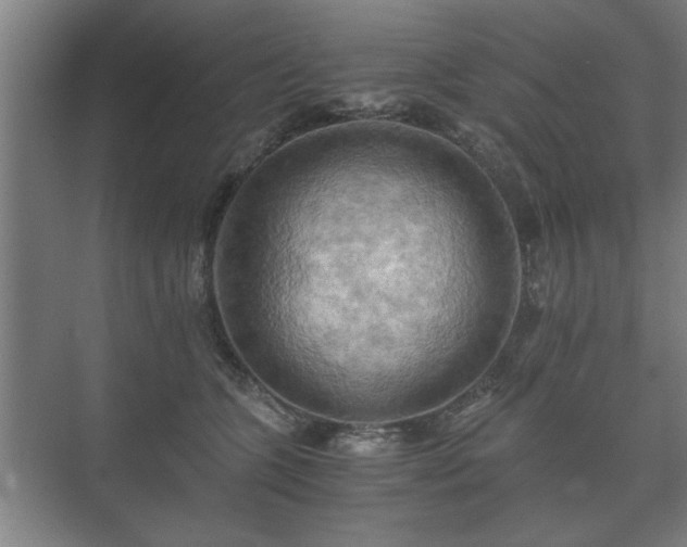 X0000073410563200608041001