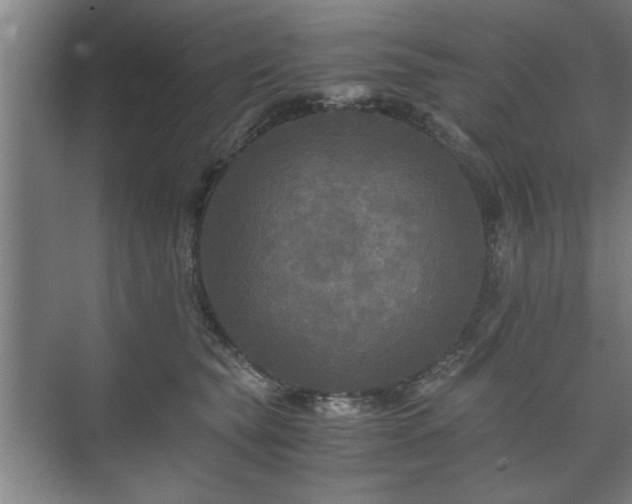 X0000073410565200608041001