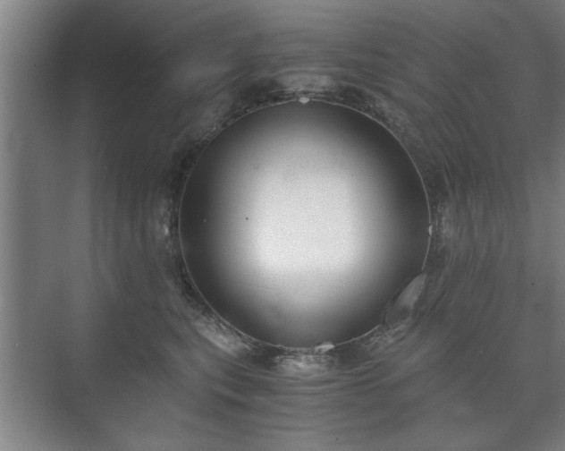 X0000073410567200608041001